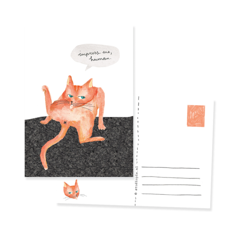 Ansichtkaart Kat, Impress me Human! (B2B)