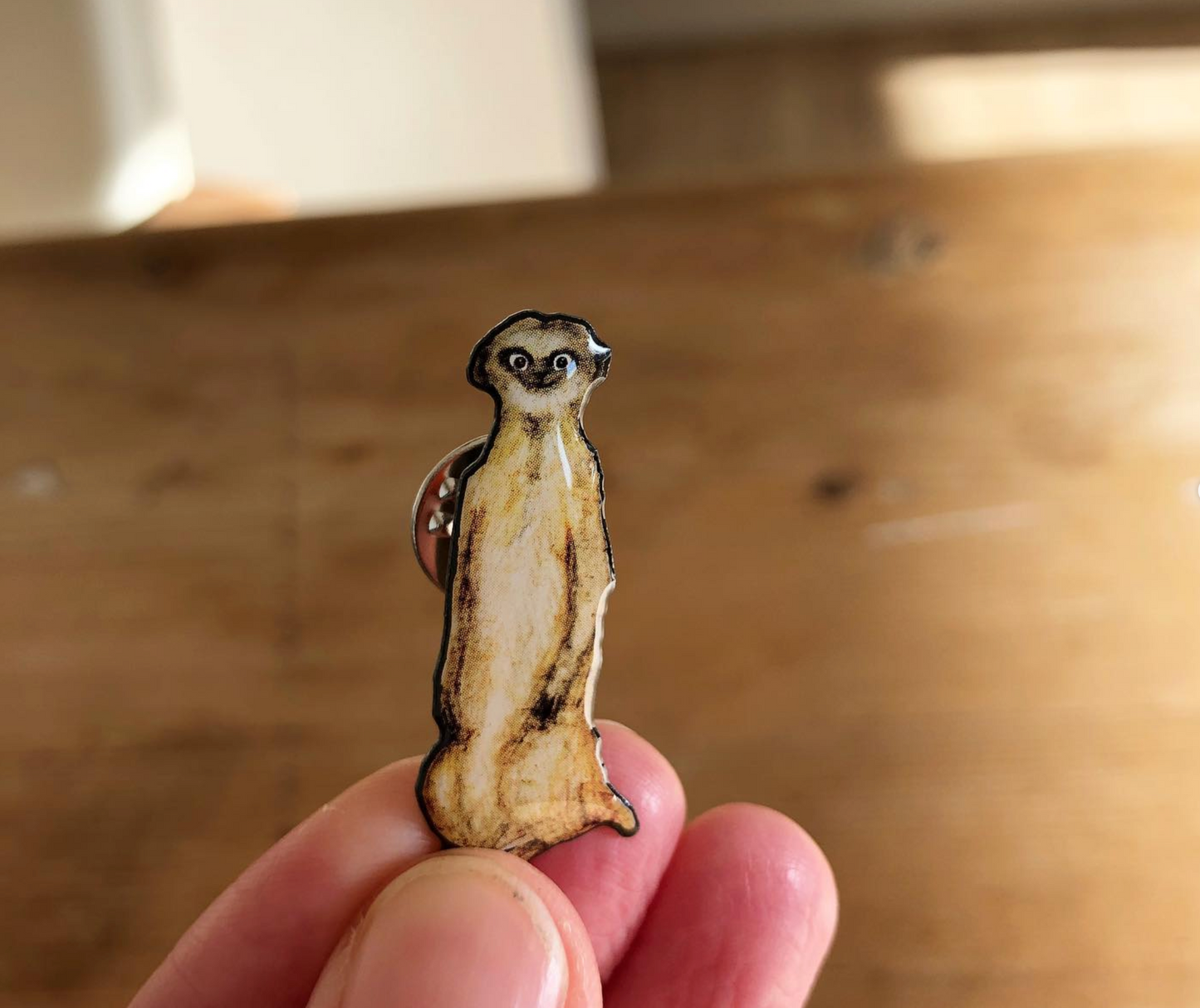 Pin stokstaartje