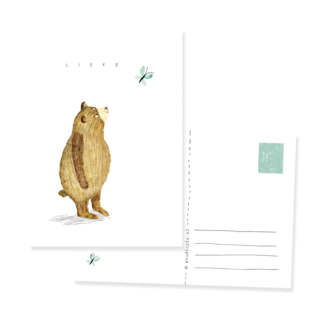 Ansichtkaartje Beer en vlinder met liefs