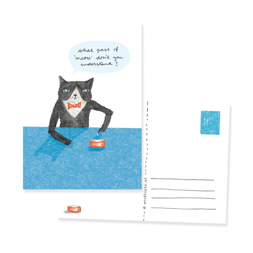Ansichtkaart Kat, What part of meow don't you understand?