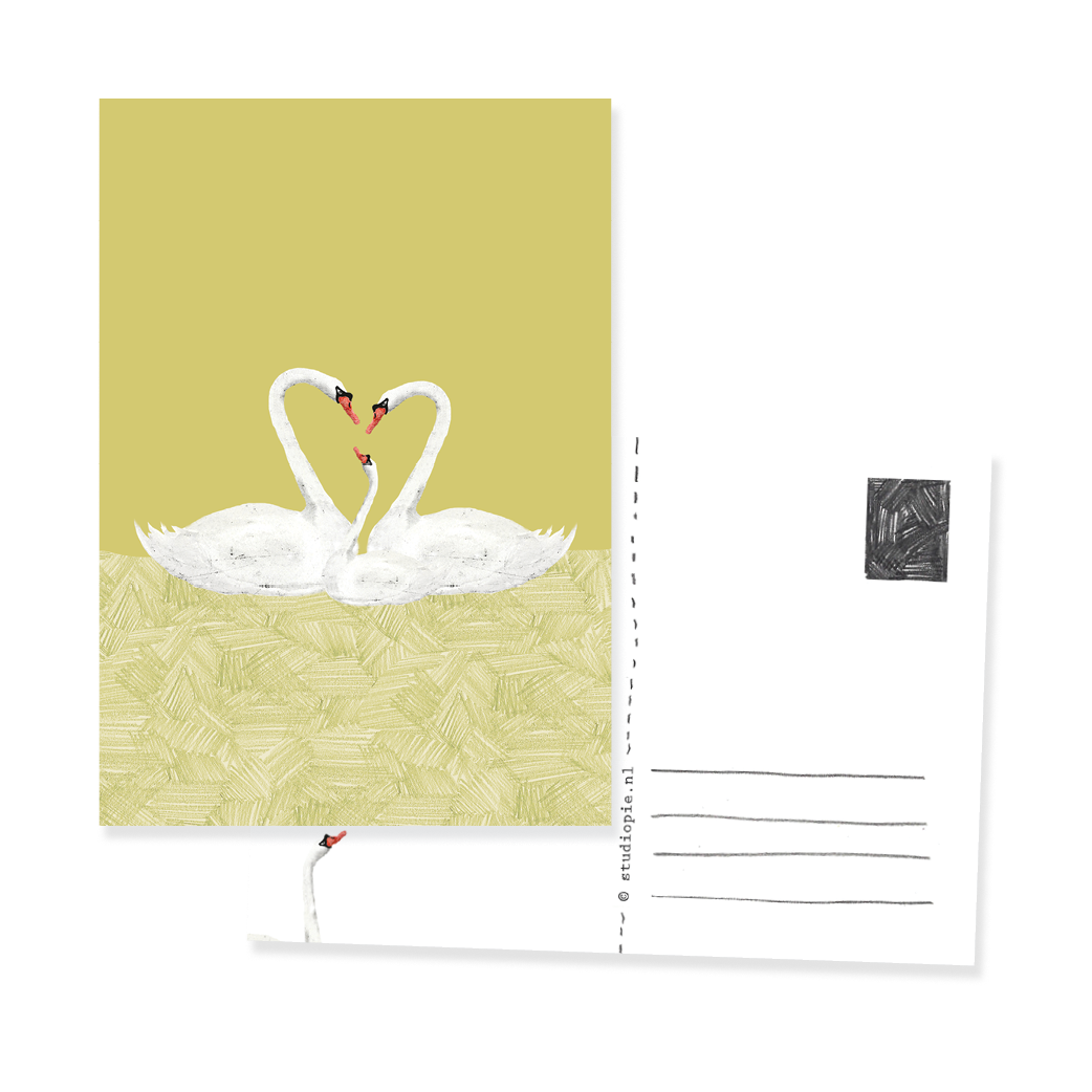 Ansichtkaart Zwanen gezin