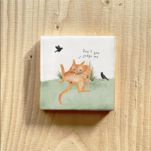 Tegeltje rode kat die poepert wast, Don't you judge me!