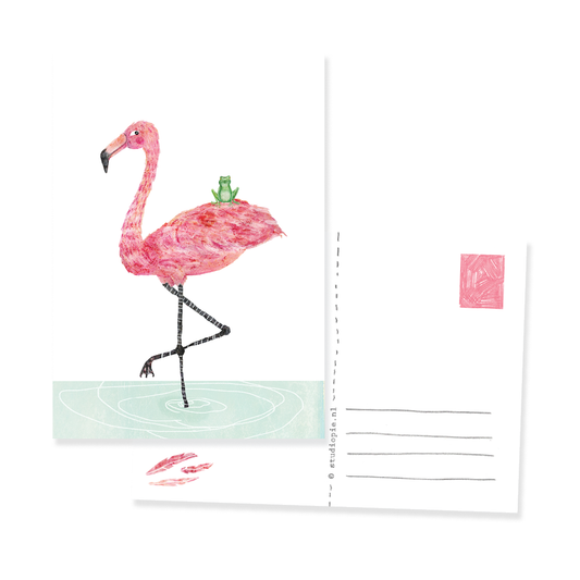 Ansichtkaartje Flamingo & kikker, ze zijn BFF