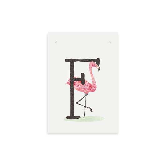 Letterkaartje F van Flamingo