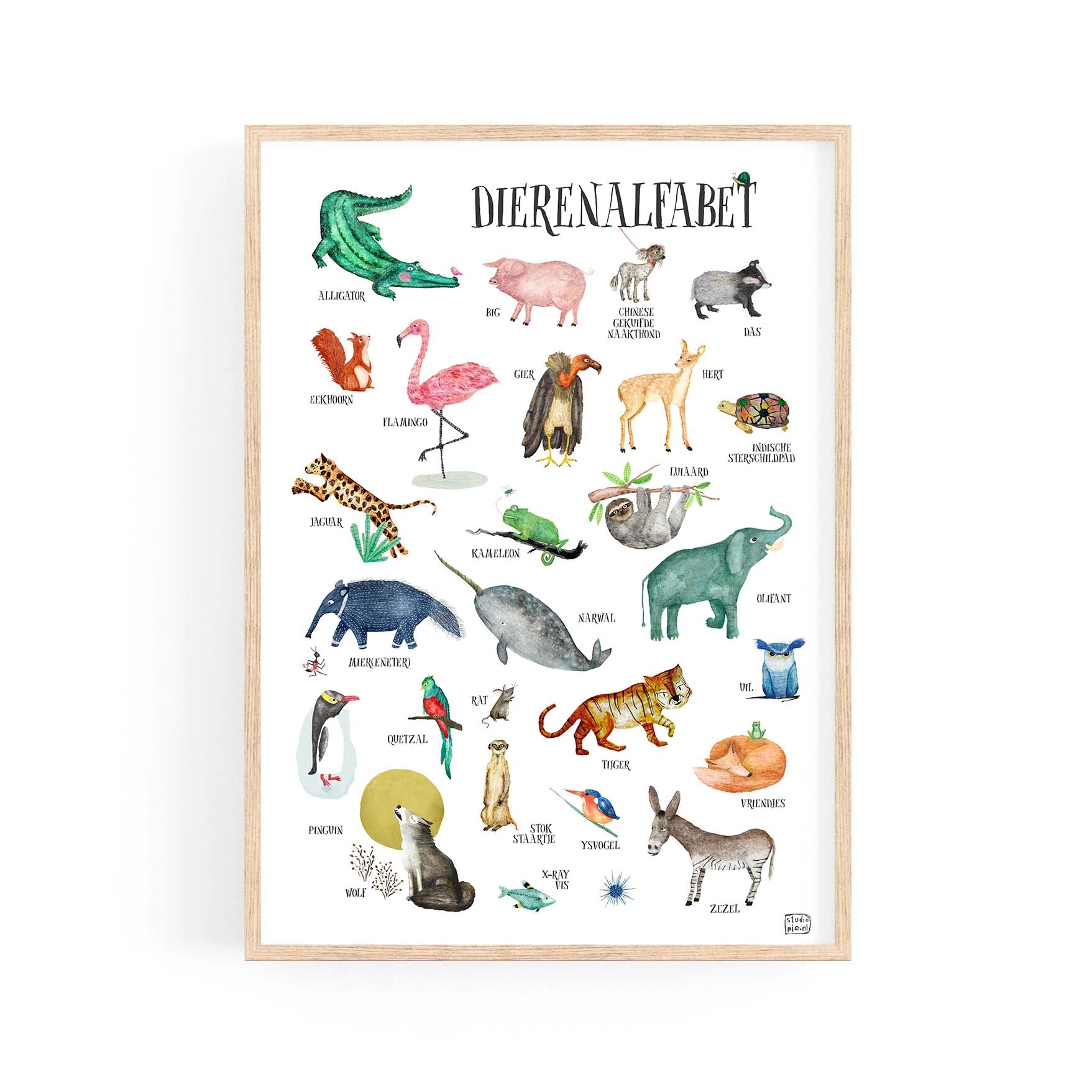 Dierenalfabet poster met grappige dieren en originele illustraties