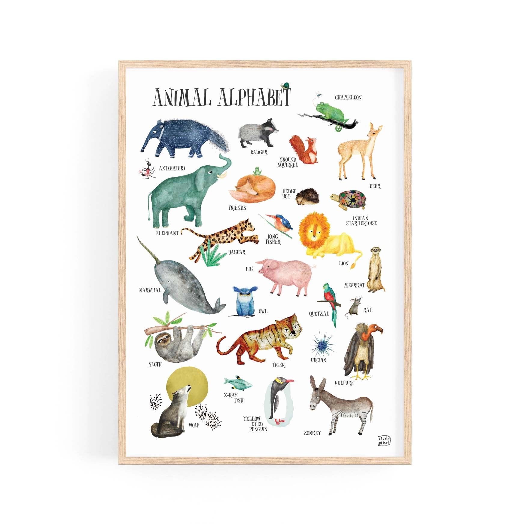 Animal alphabet print funny animals and original illustrations